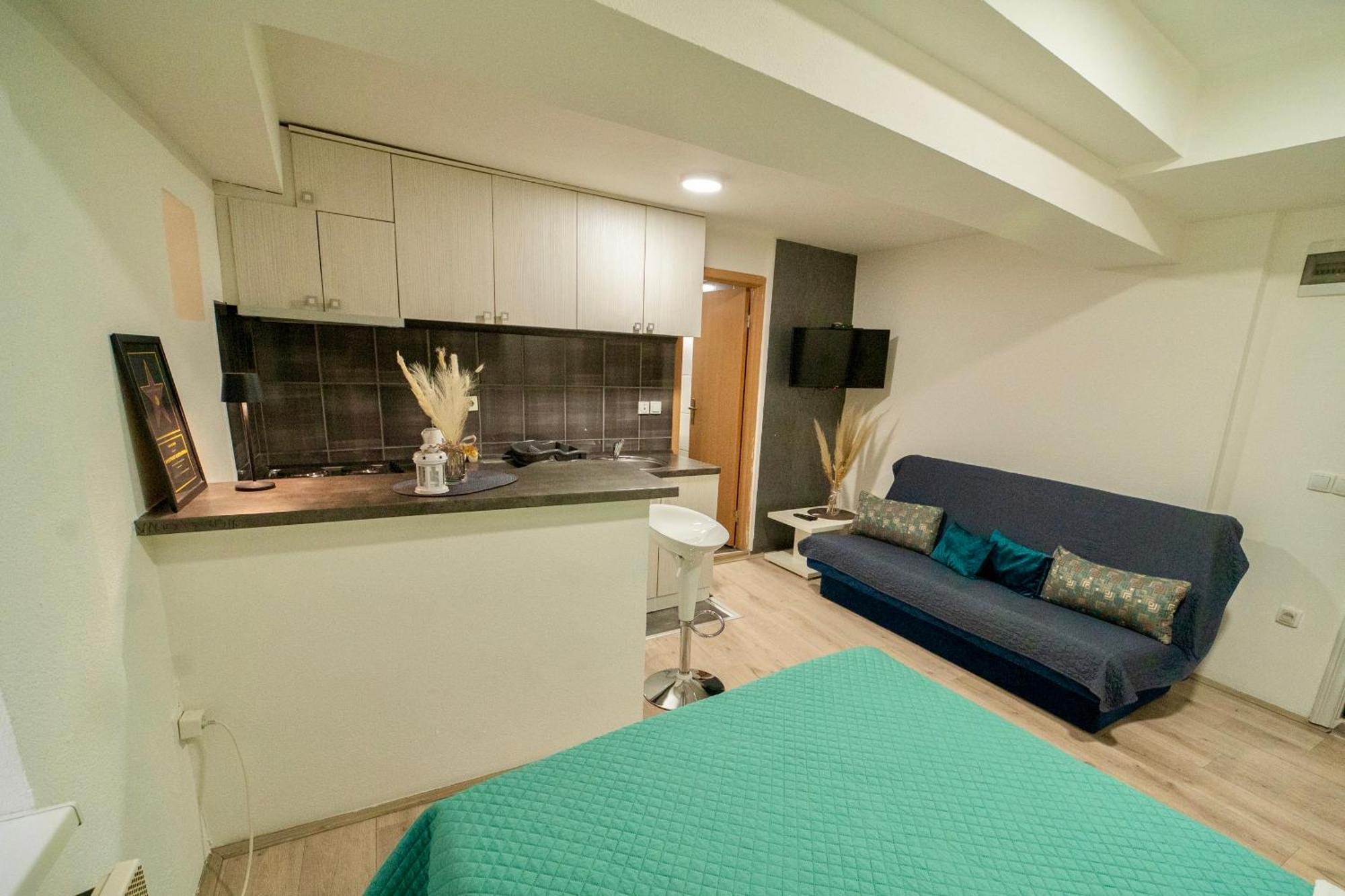 Apartmani Aleksandra U Centru Grada Kragujevac Exterior foto